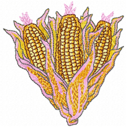 Corn Embroidery Design 10 Corn Embroidery Design 10